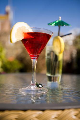 a red drink in a glass with a lemon slice at Ardington Hotel in Worthing