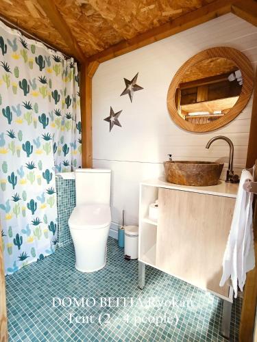 a bathroom with a toilet and a mirror at Mirador de Pideago in Bolea