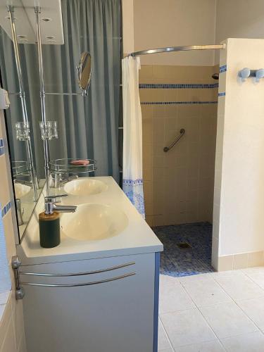 a bathroom with a sink and a shower at Le Manoir de Gourvinec in Saint-Nolff