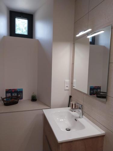 a bathroom with a sink and a mirror at Gîte Le Valeix in Neuvic