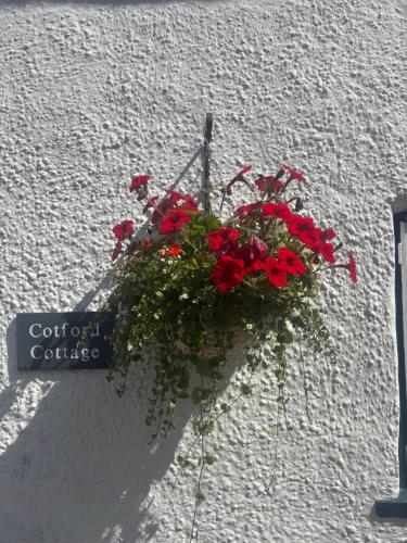 a pot of red flowers hanging on a wall at Cotford Cottage in Sidmouth