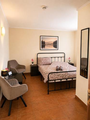 a bedroom with a bed and a chair at Cabana Lir in Arad