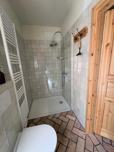 a bathroom with a shower with a toilet in it at Alte Schmiede in Schwielochsee