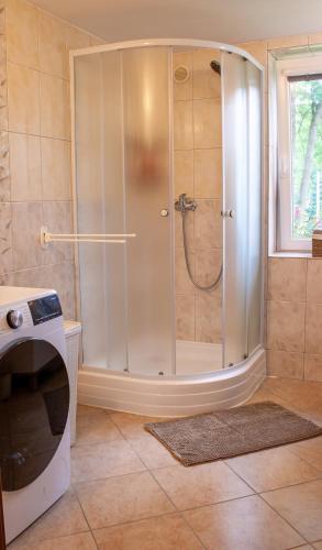 a shower with a glass door in a bathroom at Chalupa Na Žofíně in Horní Podluží