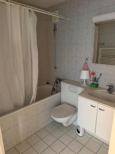 a bathroom with a toilet and a tub and a sink at Zurich Cozy Room in Zumikon