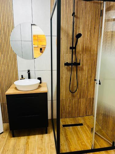 a bathroom with a sink and a shower at Antonia home 2 in Târgu-Mureş