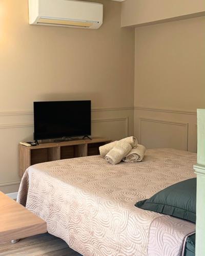 a bedroom with a bed and a flat screen tv at A Casa Rosa in Omessa