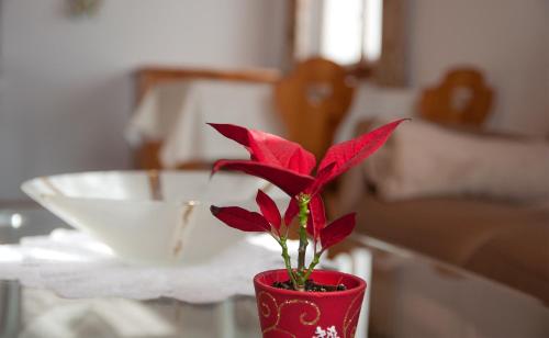 eine rote Pflanze in einer roten Vase auf einem Tisch in der Unterkunft Harmony EG Süd-Ost in Bettmeralp