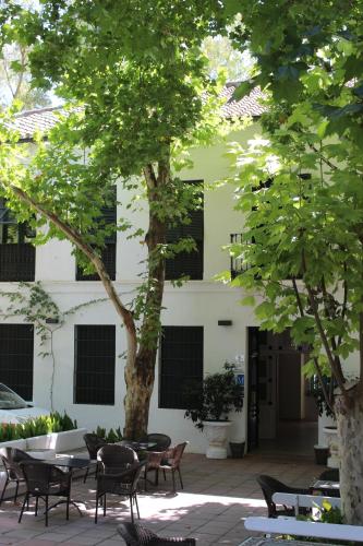 a courtyard with tables and chairs and trees at Hotel del Balneario in Tolox