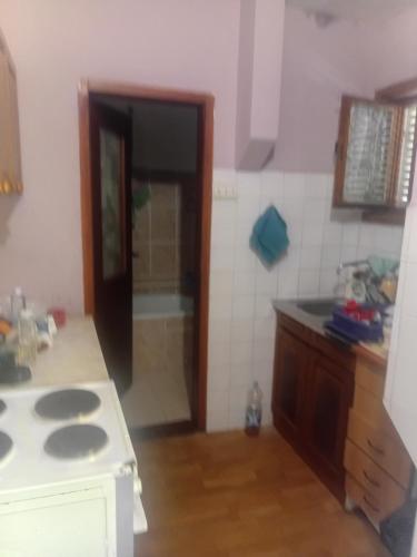 a kitchen with a sink and a stove in it at Ljiljana Apartman 1 in Rakari
