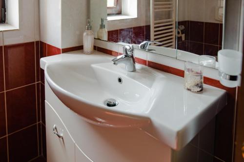 a bathroom with a white sink and a mirror at Casa Ienciu in Sibiu