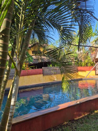 a palm tree standing next to a swimming pool at Hotel Ambalamanga in Nosy Be