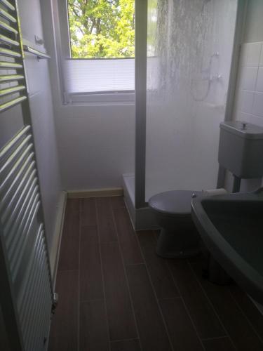a bathroom with a toilet and a sink and a window at Blick-ueber-Hohegeiss in Hohegeiß