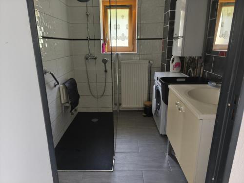 a bathroom with a shower and a sink at Gite la Tourbiere in Fellering