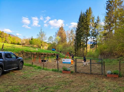 a group of people playing in a dog park at L'Antica Canonica di Casa Bernardi, terrazzo Wi-Fi PetFriendly con Area Cani in Trento