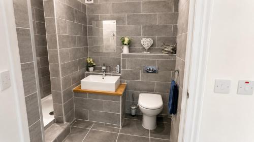 a bathroom with a sink and a toilet at Coed Bach Suite in Bryngwran