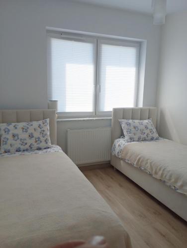 two beds in a room with two windows at Kawalerka pod lasem in Poddębice