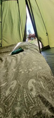a bed in a tent with a toothbrush on it at Tipi tent met 2 persoons luchtbed in Sneek