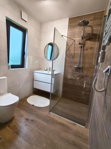 a bathroom with a shower and a toilet and a sink at Relaks przy lesie in Idzbark