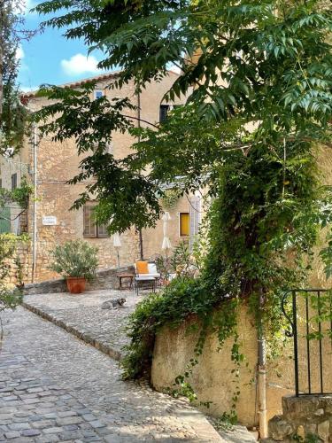 a tree in front of a building with a bench at La Vicomtesse de Seillans in Seillans