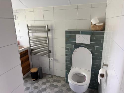 a bathroom with a toilet with a green tile wall at Suzie's Cottage in Aalten