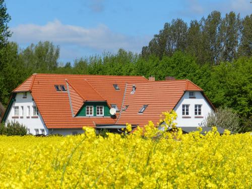 a house with an orange roof next to a field at Landhaus Alt Reddevitz in Middelhagen