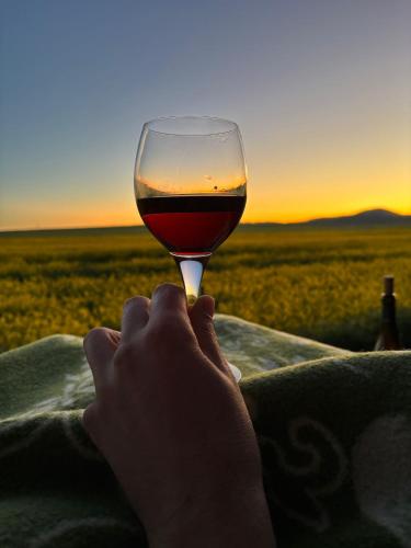 a person holding a glass of wine in front of a field at Mein alter Bauernhof Strassburgerhof in Welling