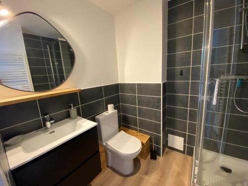 a bathroom with a toilet and a sink and a mirror at Résidence les 3 Sommets in Sarcenas