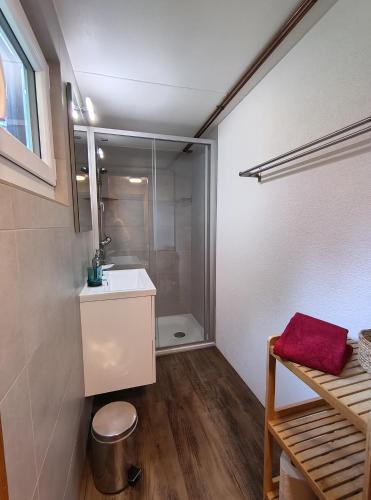 a bathroom with a shower and a sink and a toilet at Chalet Sonnenheim mit atemberaubender Aussicht in Adelboden