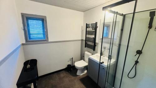 a bathroom with a toilet and a glass shower at CHATA POD HORAMA in Benecko