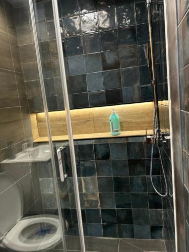 a bathroom with a shower with a toilet and a window at Apartman Porta 108 in Kruševac