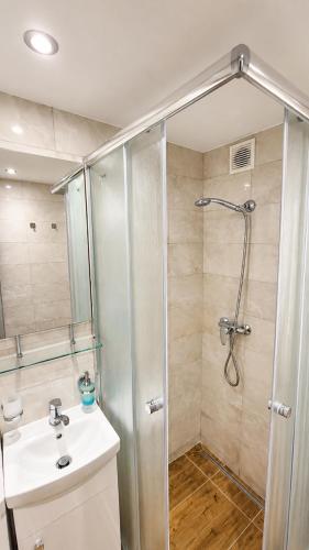 a bathroom with a shower and a sink at Pohodlný apartmán s klímou blízko centra Prievidza in Prievidza