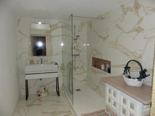 a bathroom with a sink and a shower with a mirror at Le volcan in Rochefort