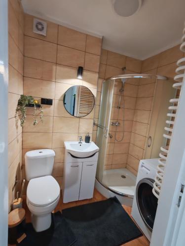 a bathroom with a toilet and a sink and a shower at Zielone drzwi in Żywiec