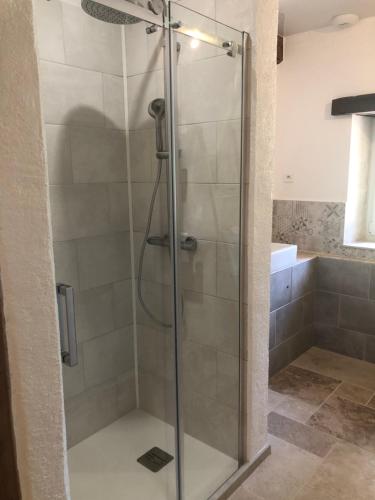 a shower with a glass door in a bathroom at Pigeonnier La Carole 35m2 in Monlezun