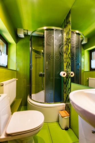 a green bathroom with a shower and a toilet at Ski House Szczyrk - Solisko in Szczyrk