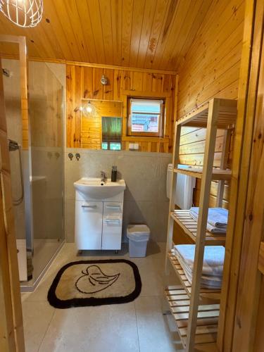 a bathroom with a sink and a bunk bed at Domki pod Brzozą in Czarnocin