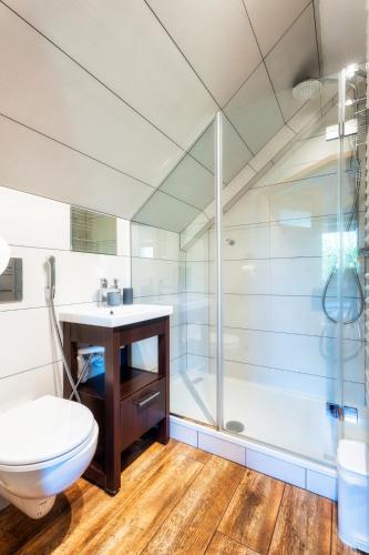 a bathroom with a shower and a toilet and a sink at Ski House Szczyrk - Centrum in Szczyrk