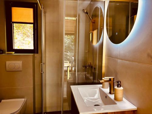 a bathroom with a sink and a shower and a mirror at Love Cabin in Slatina Varoš