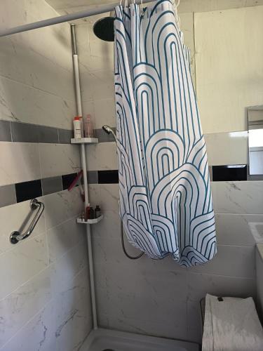 a shower curtain in a bathroom with a toilet at Petit cocon in Laignes