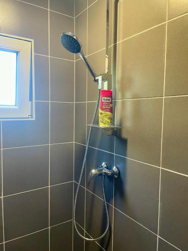 a shower with a shower head in a bathroom at MAX Dunaj in Trstice
