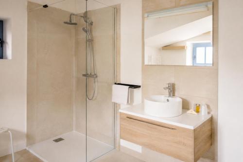 a bathroom with a sink and a shower at La borderie de Beauregard in Treize-Vents