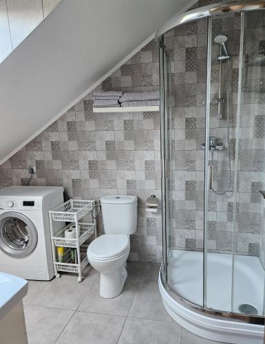 a bathroom with a toilet and a washing machine at Borowy Zielnik 