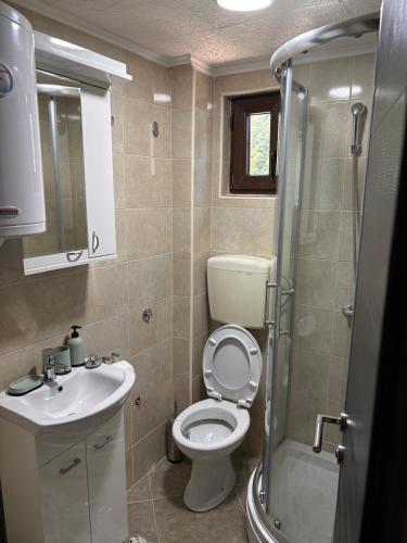 a bathroom with a toilet and a sink and a shower at Apartmani Zelena jela in Šljivovica