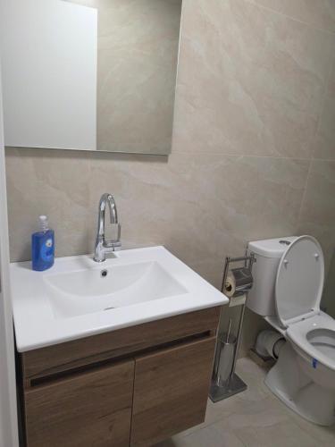 a bathroom with a sink and a toilet and a mirror at Koresh 10 - Emilia suite in Jerusalem
