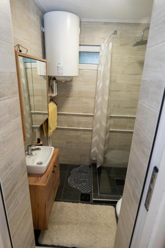 a small bathroom with a sink and a shower at Naissus Apartments in Niš