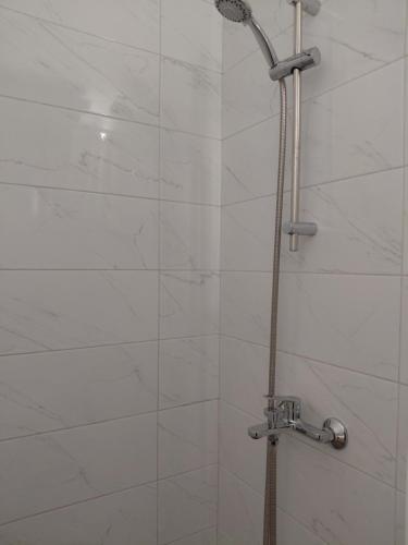 a shower with a shower head in a bathroom at Apartma Sonček in Šentjur