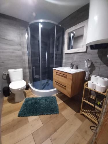 a bathroom with a shower and a toilet and a sink at Amelia Domek letniskowy in Mechelinki