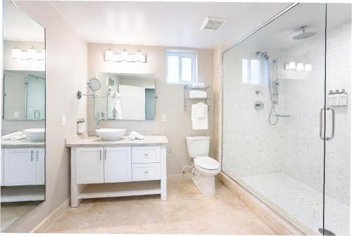 a bathroom with a shower and a sink and a toilet at Sunset Reef St. Kitts in Ottleyʼs