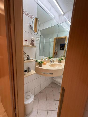 a bathroom with a sink and a toilet and a mirror at Ferienwohnung Talblick in Sankt Englmar